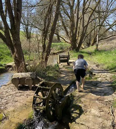 Daire Wertevoll Welschbillig